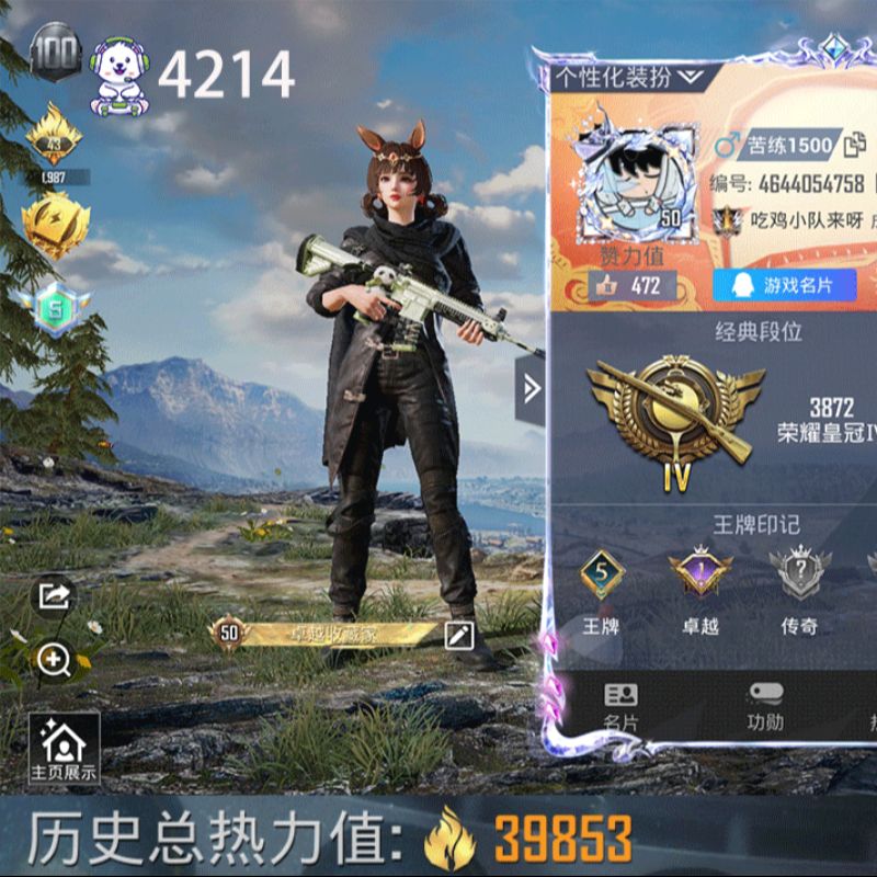 地铁满天赋 6枪2粉千金淑猫引力星暗夜之虎M24虎痴许褚2级