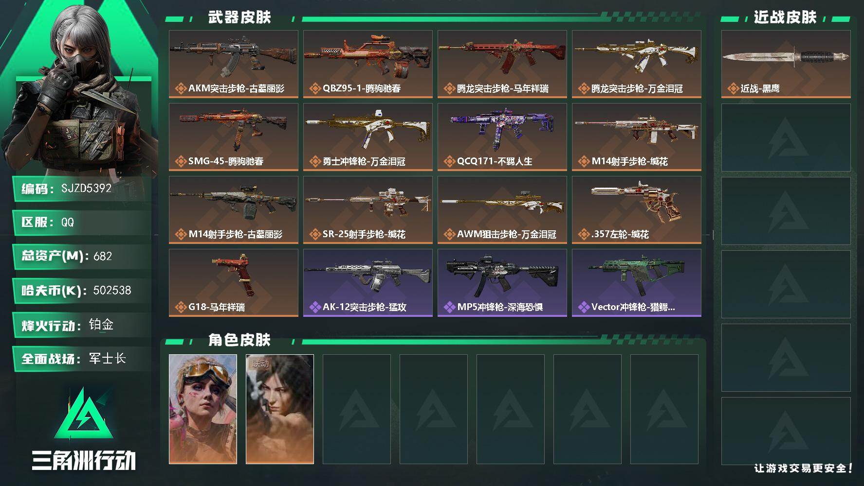 总资产682M/哈夫币50253万/干员外观数2/传说枪皮数13/战场等级32/行动等级60/