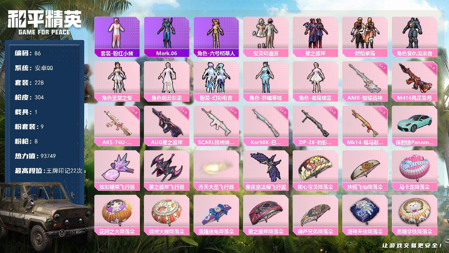 【86】228套装/枪械8/装备379/载具1/战备212/王牌印记22/热力