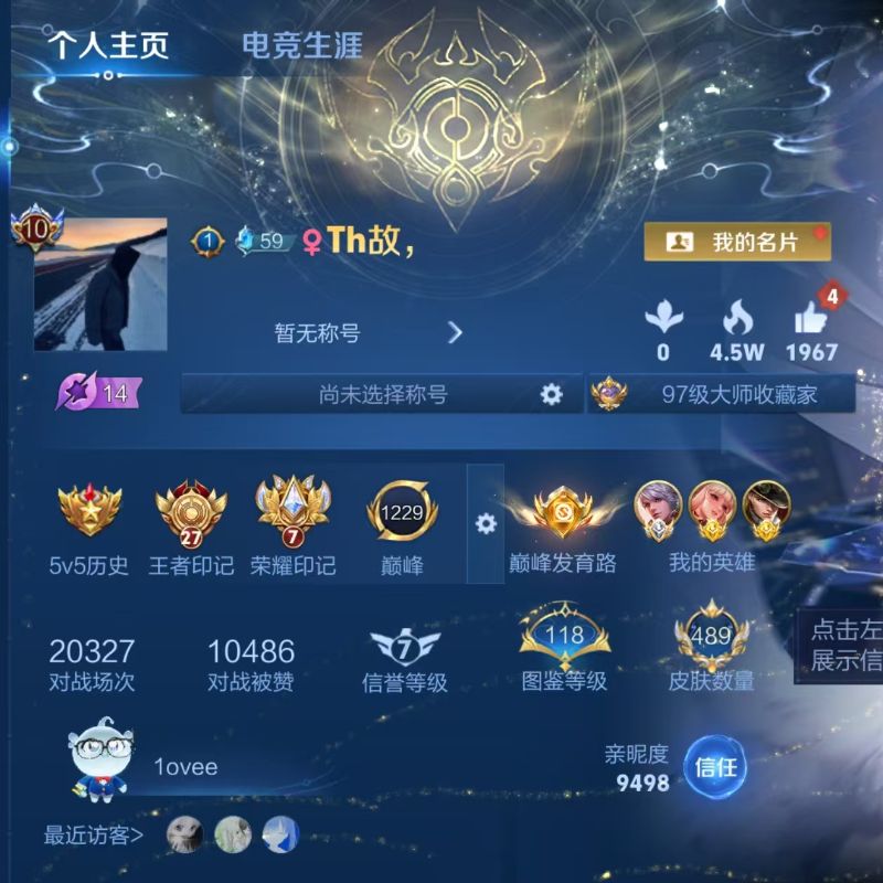 国标射手-v10发育路73段国服百里守约5水晶48传说历史6省级金标5星元-射手国标S9/有二次自己挂