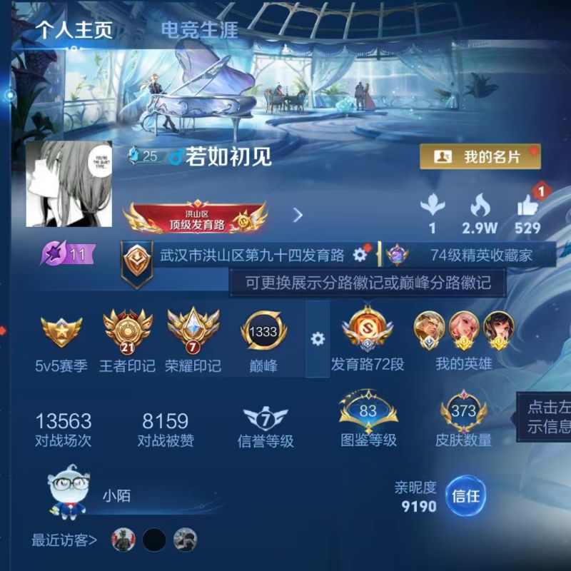 国标射手-百星发育路72段国服后羿3水晶1无双22传说历史8省级金标4星元-射手国标A117/有二次自己挂