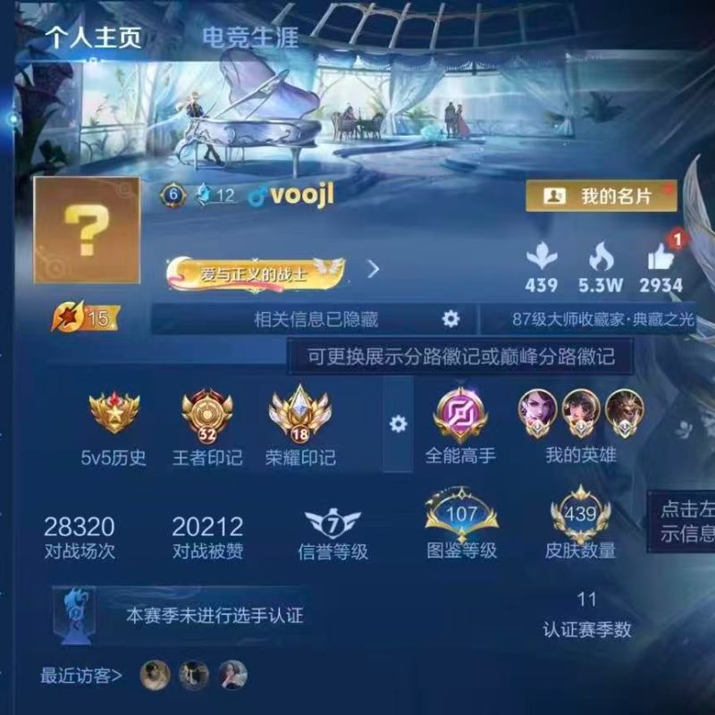 国标打野-魔方打野56段三国服阿轲露露牛魔5水晶16传说历史6省级金标3星元-打野国标A97/有二次自己挂