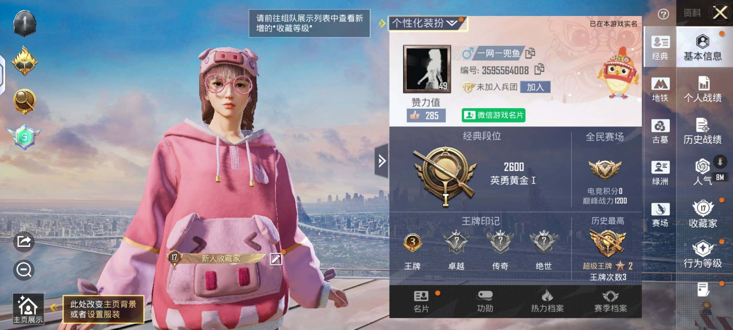QY177 游戏49级 3印记【热门】粉红小猪【飞行器】齐天大圣飞行器